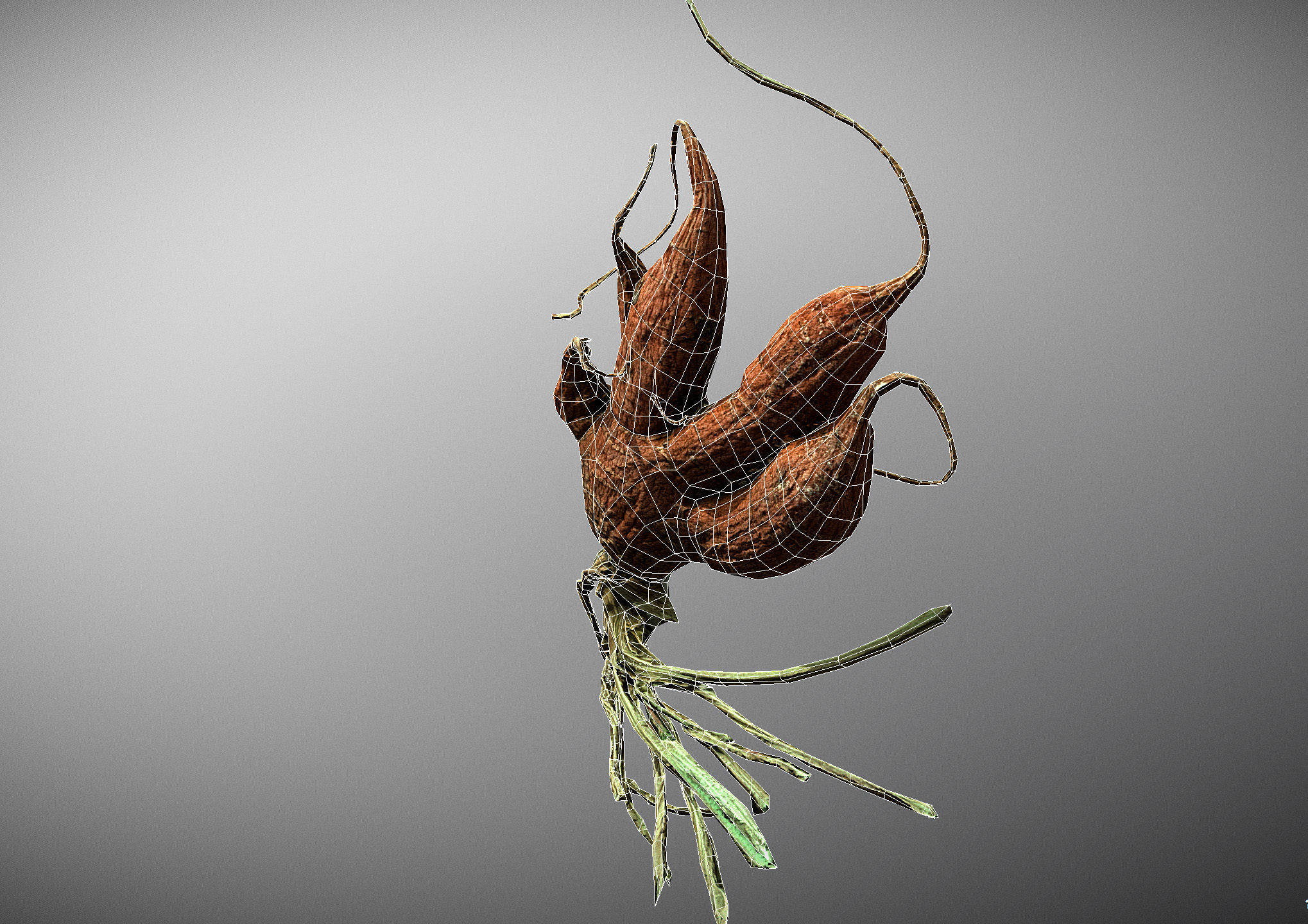 Old five steam carrot root Low-poly 3D model_30