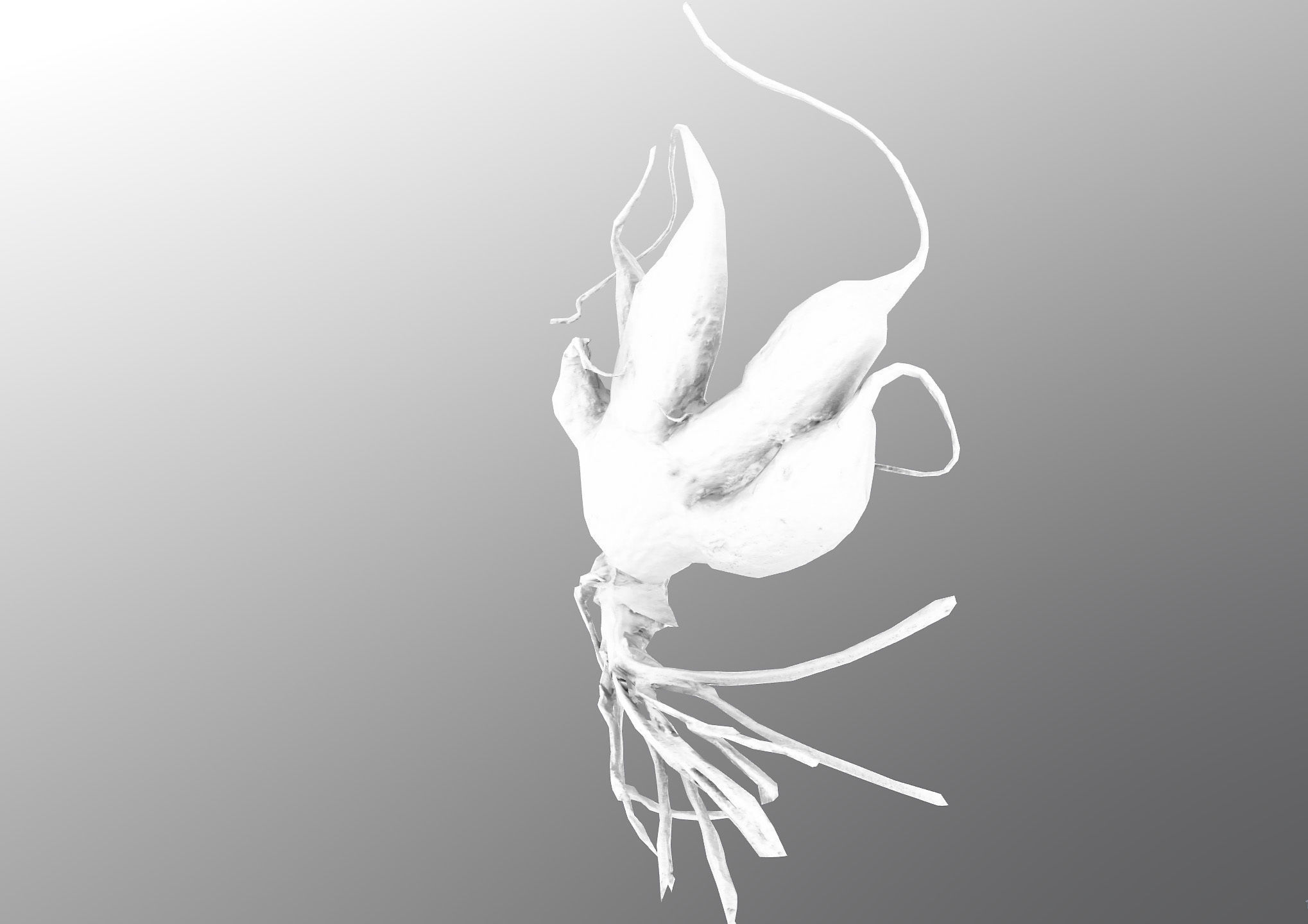 Old five steam carrot root Low-poly 3D model_19