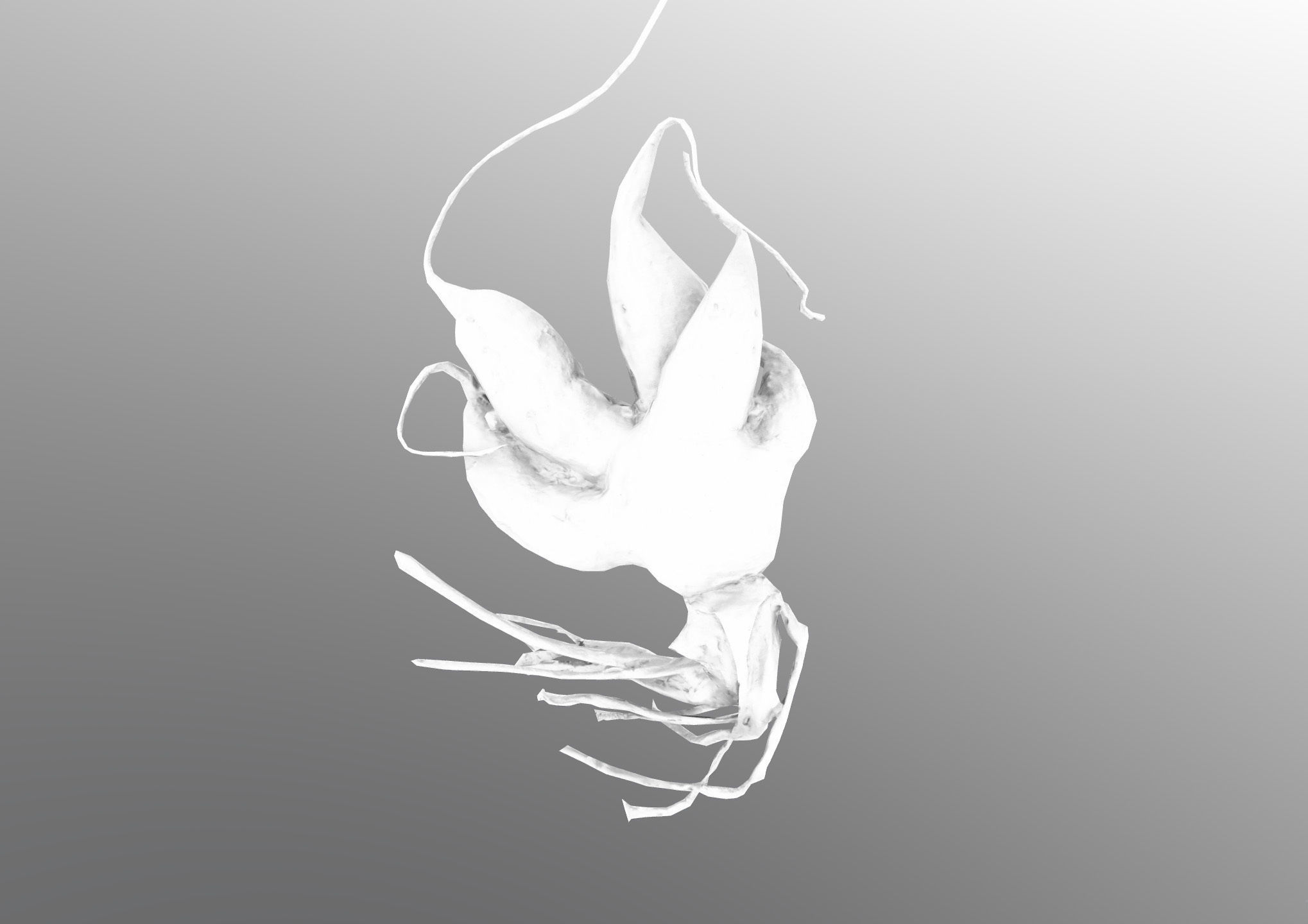 Old five steam carrot root Low-poly 3D model_18