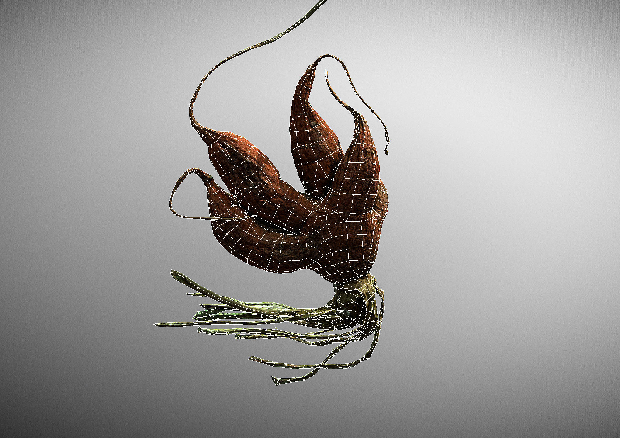 Old five steam carrot root Low-poly 3D model_29