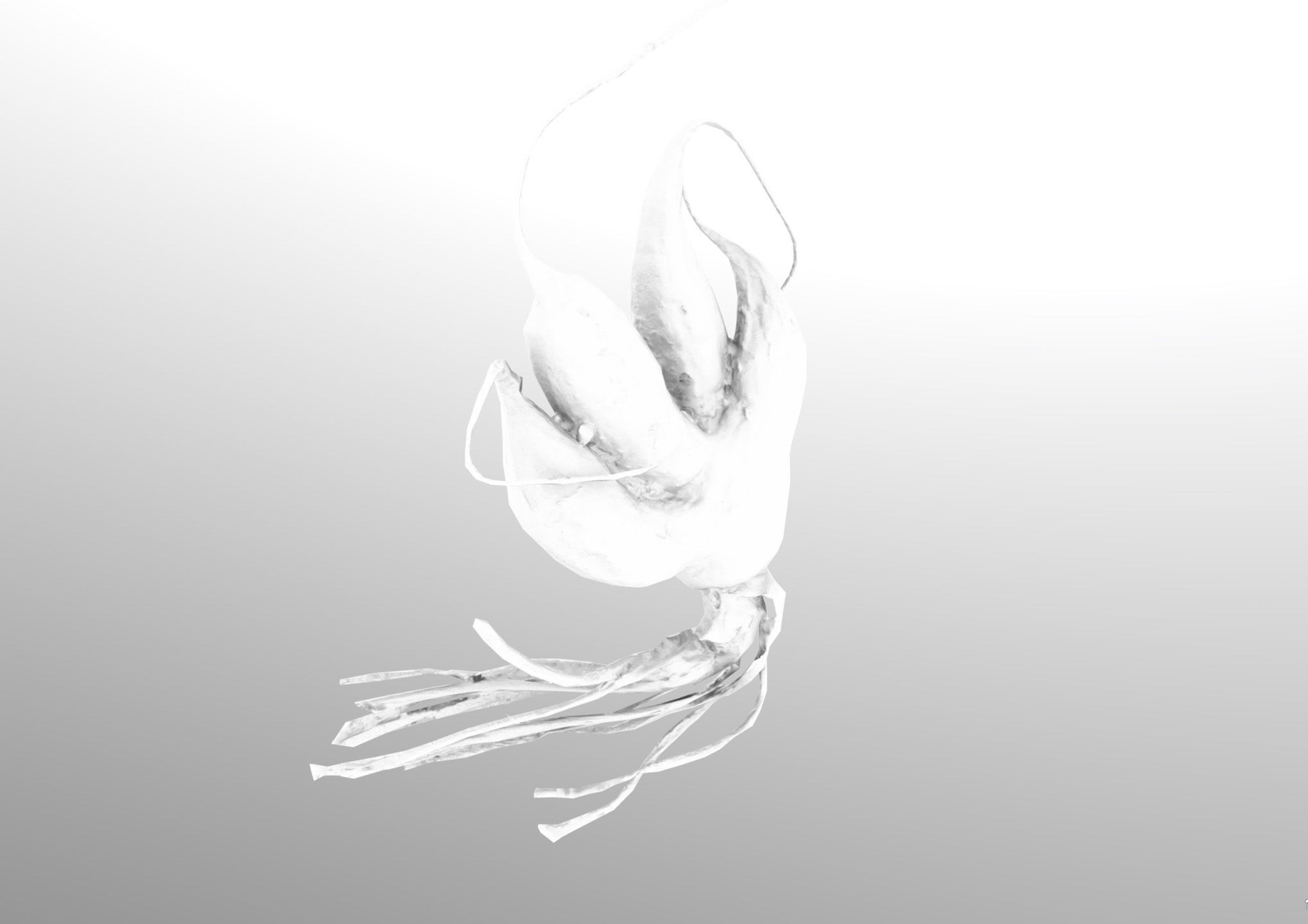 Old five steam carrot root Low-poly 3D model_17