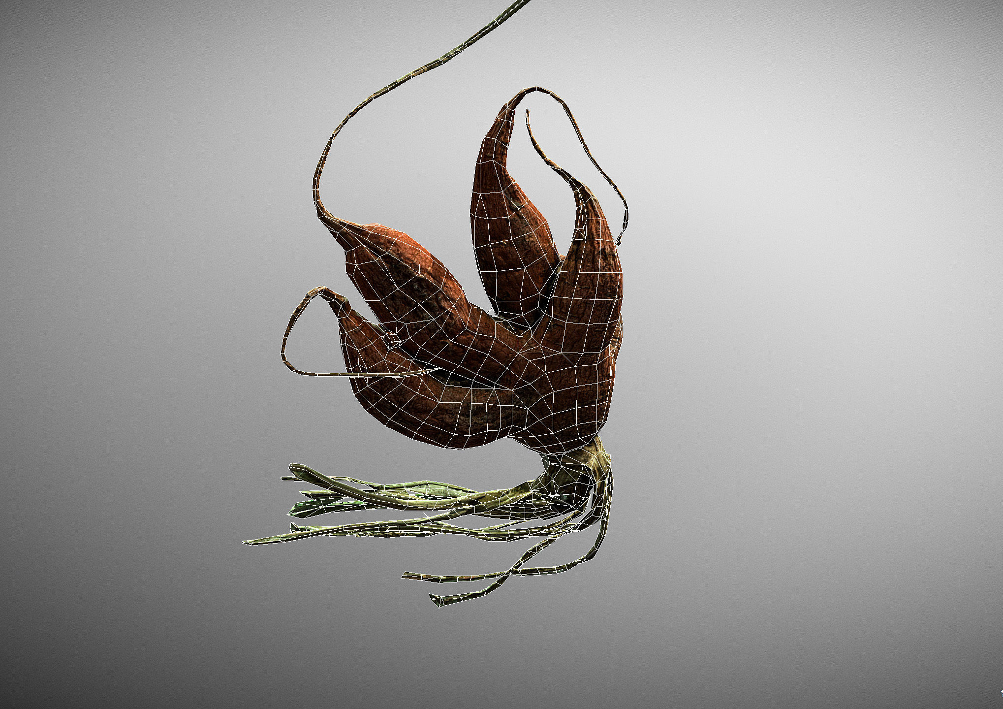 Old five steam carrot root Low-poly 3D model_27