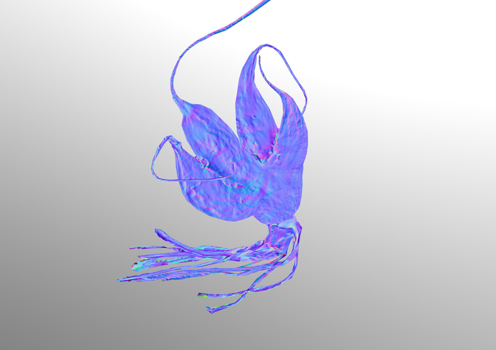 Old five steam carrot root Low-poly 3D model_16