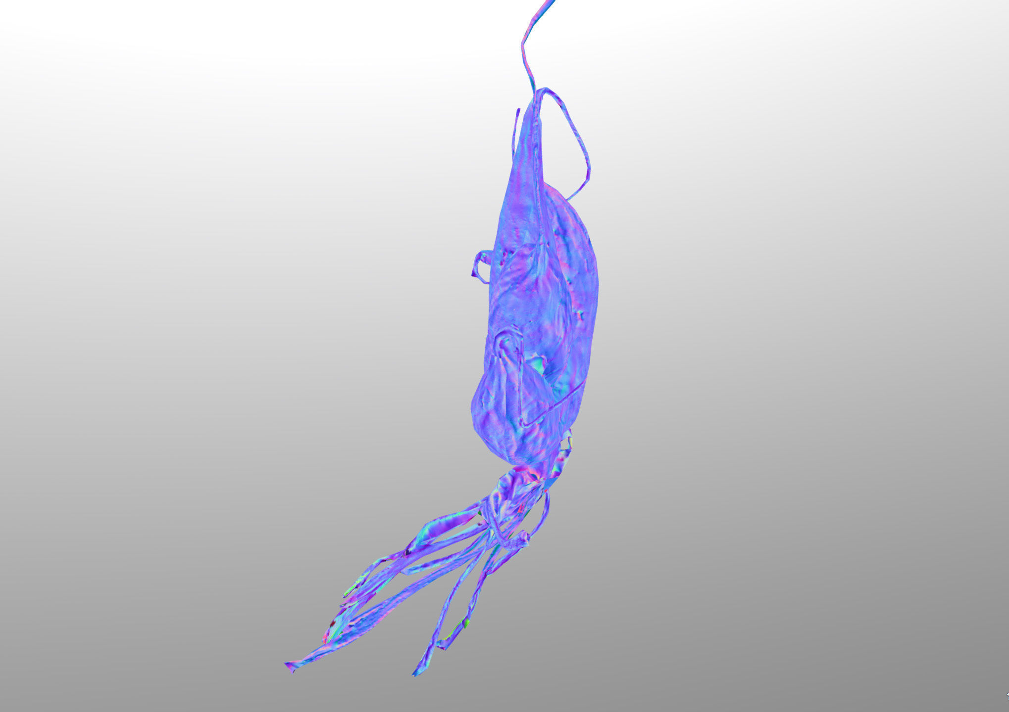 Old five steam carrot root Low-poly 3D model_15