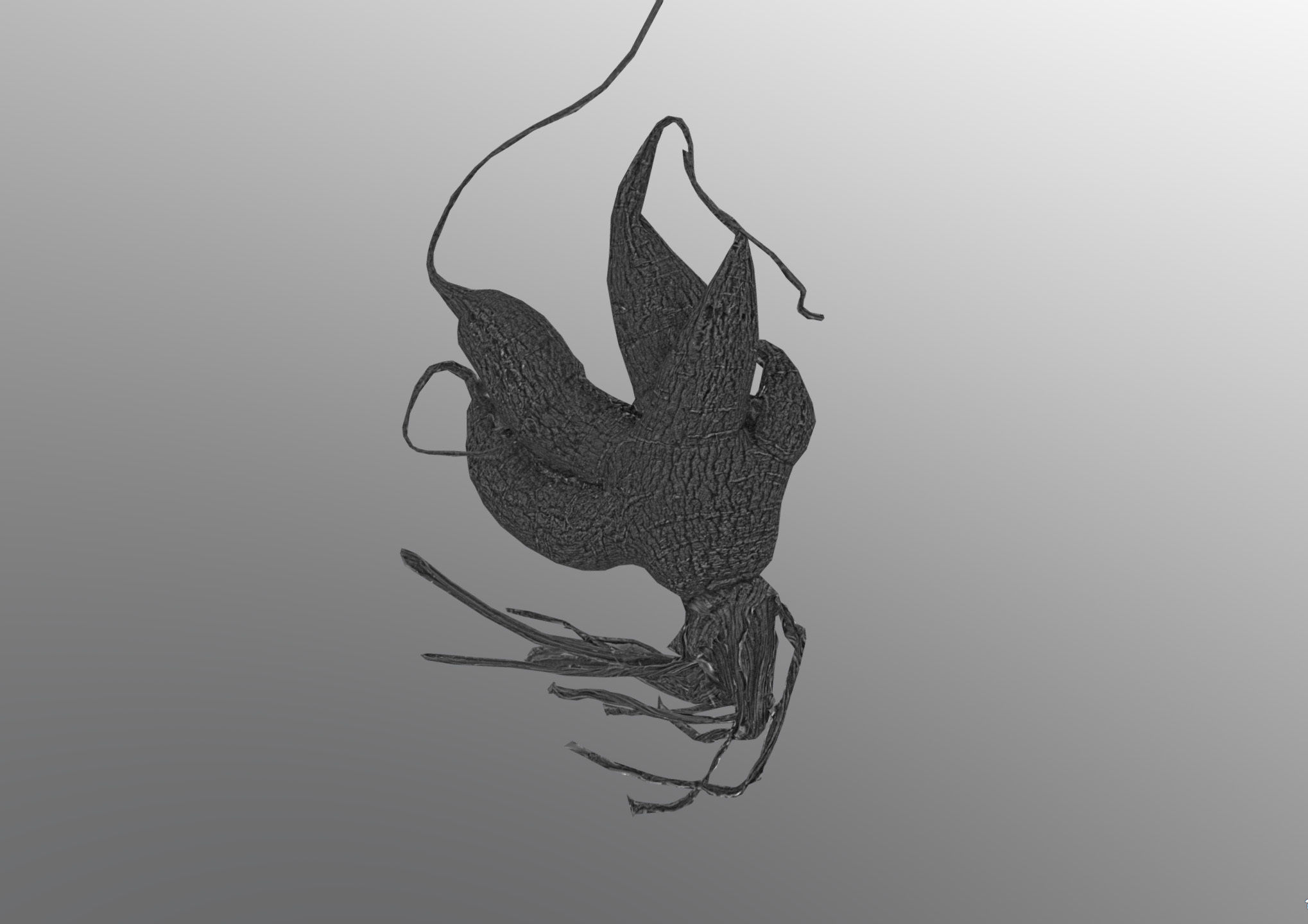 Old five steam carrot root Low-poly 3D model_21