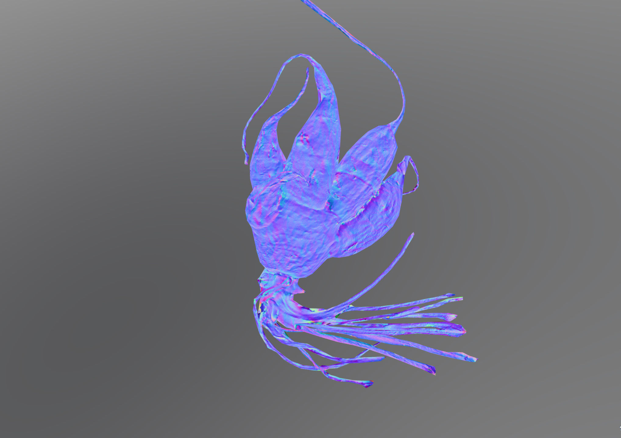 Old five steam carrot root Low-poly 3D model_12