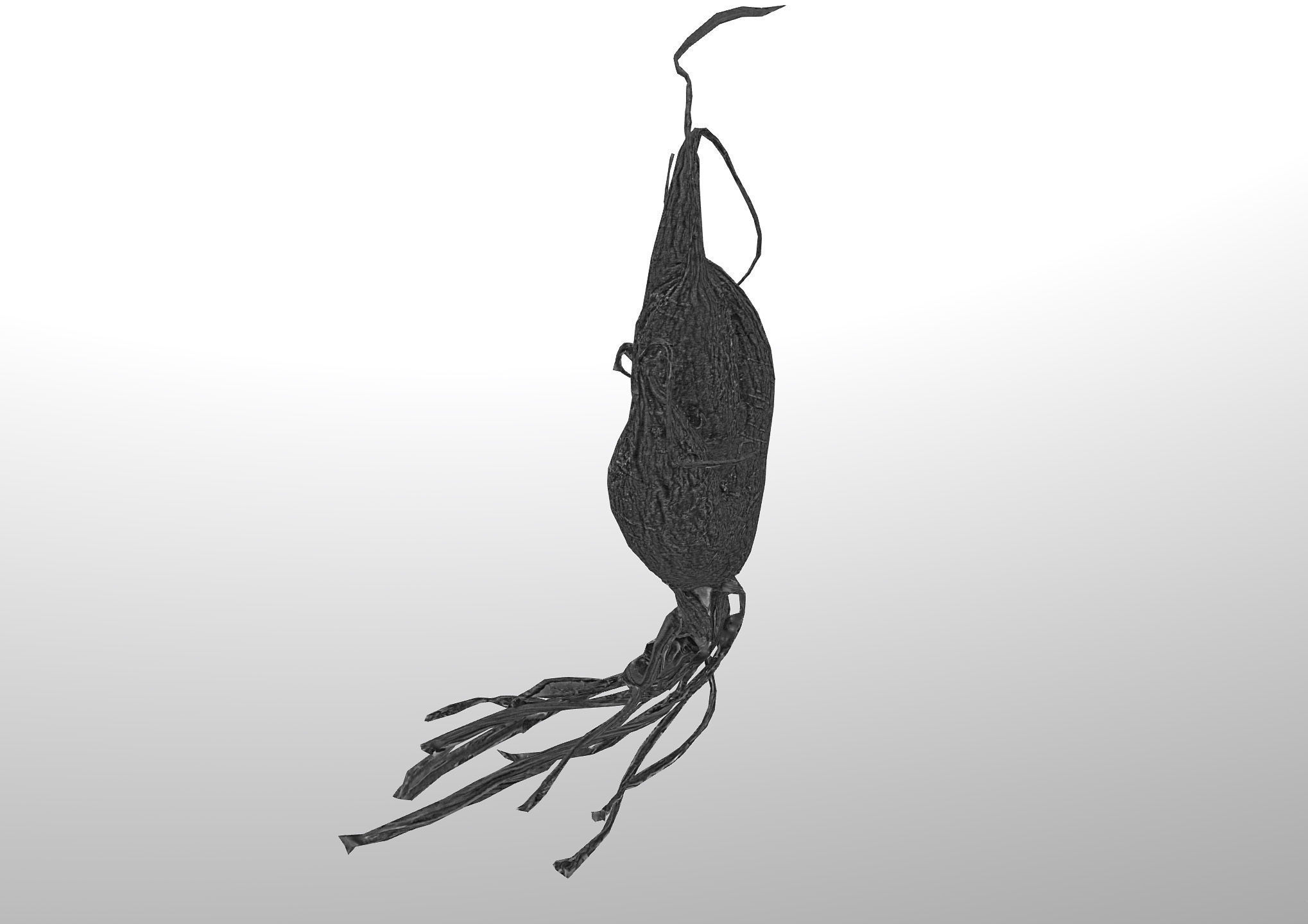 Old five steam carrot root Low-poly 3D model_22