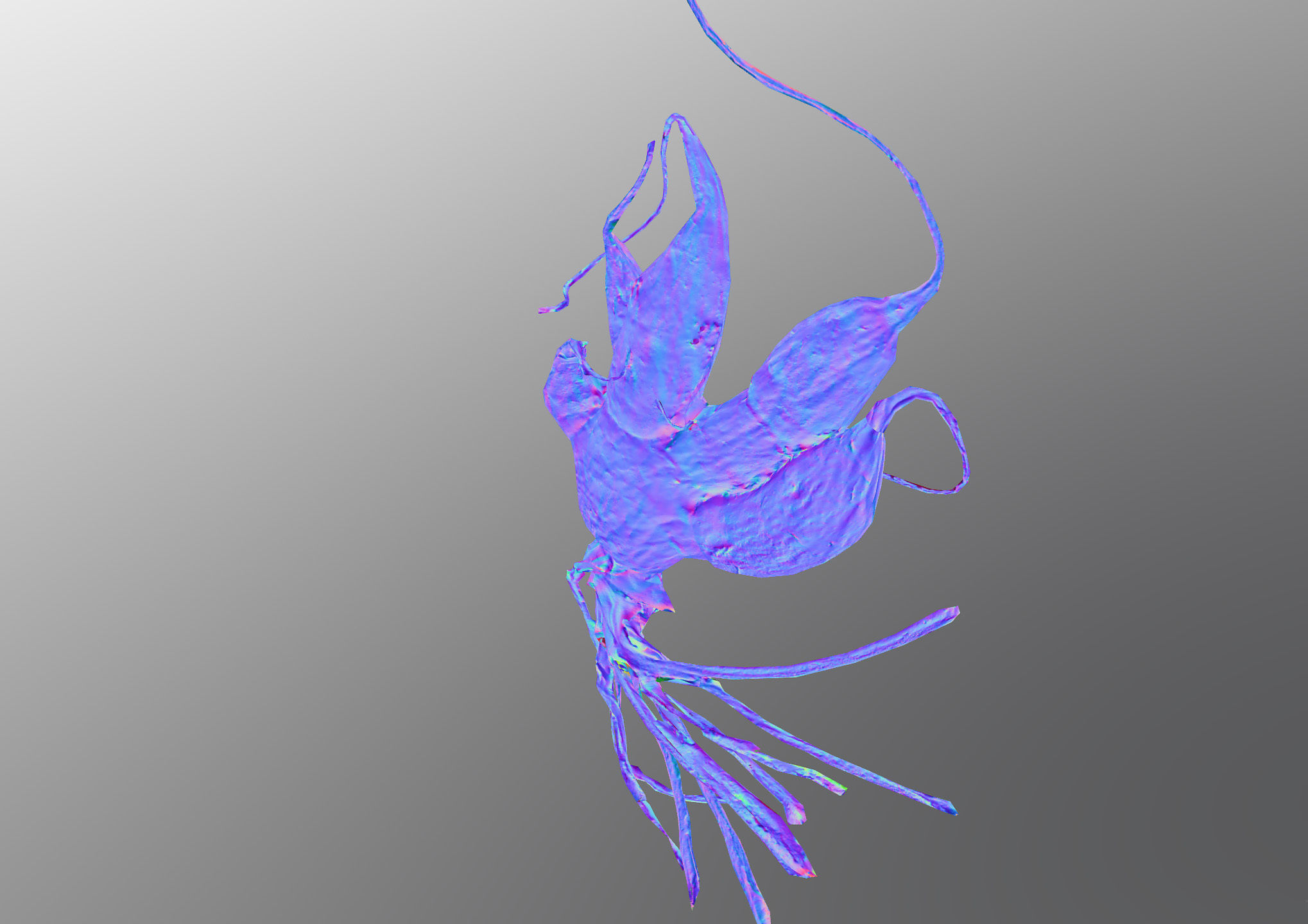 Old five steam carrot root Low-poly 3D model_14