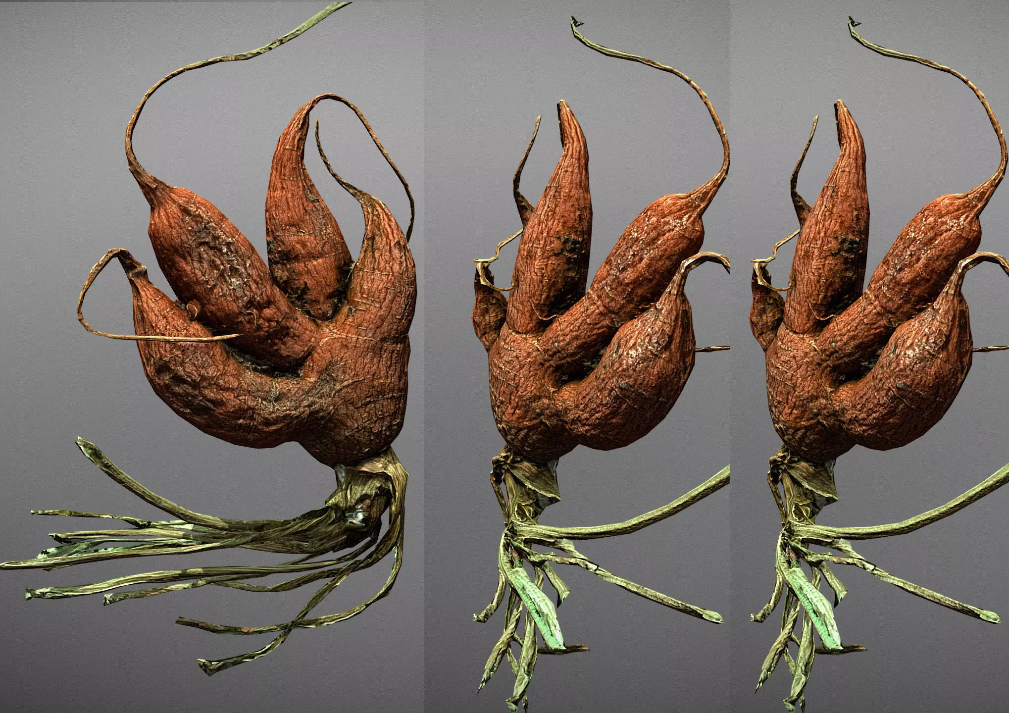 Old five steam carrot root Low-poly 3D model_0