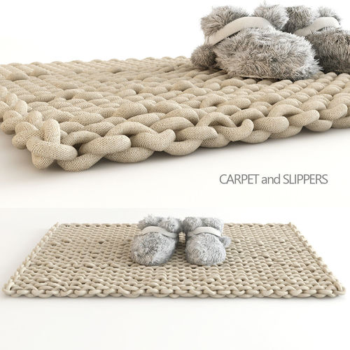 Carpet and Slippers 3D model