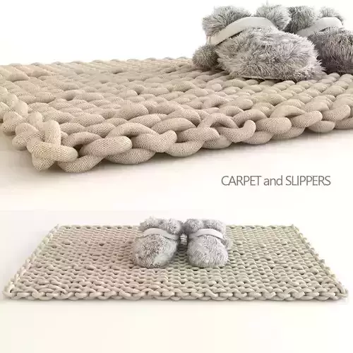 Carpet and Slippers 3D model