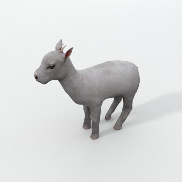 25 Farm - Domestic Animal Models Pack Low-poly 3D model_103