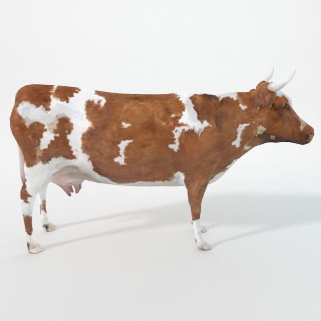 25 Farm - Domestic Animal Models Pack Low-poly 3D model_27