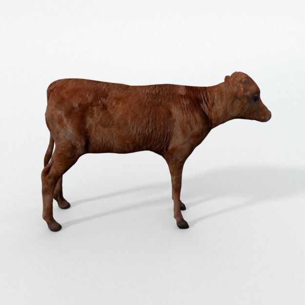 25 Farm - Domestic Animal Models Pack Low-poly 3D model_45