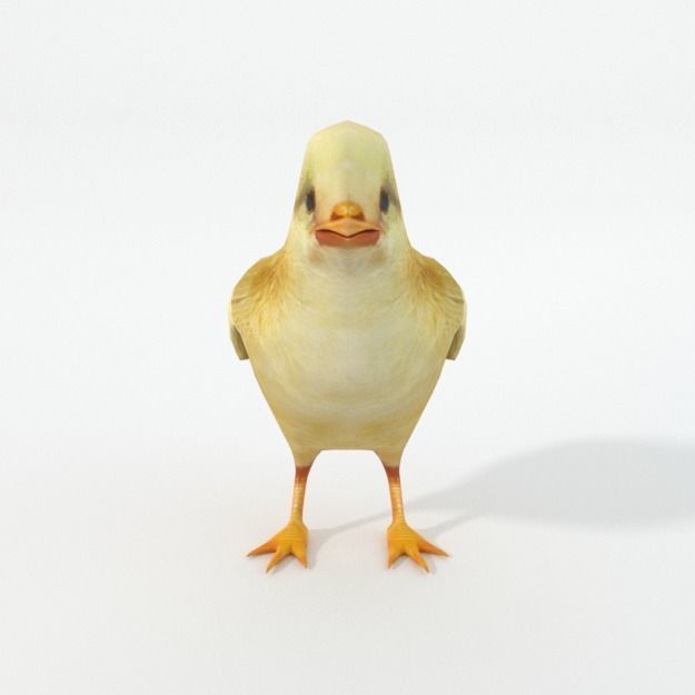 25 Farm - Domestic Animal Models Pack Low-poly 3D model_98