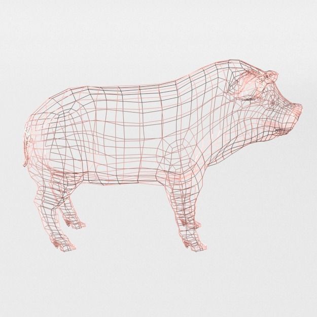 25 Farm - Domestic Animal Models Pack Low-poly 3D model_120