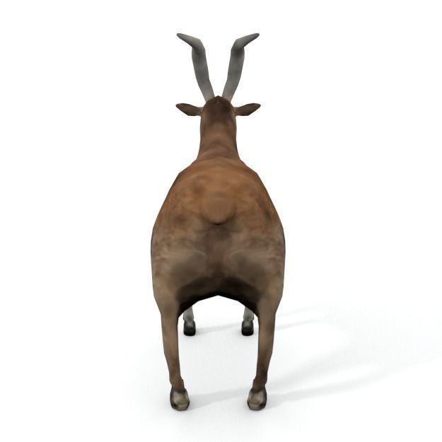 25 Farm - Domestic Animal Models Pack Low-poly 3D model_86