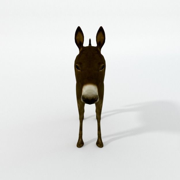 25 Farm - Domestic Animal Models Pack Low-poly 3D model_34