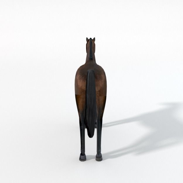 25 Farm - Domestic Animal Models Pack Low-poly 3D model_94