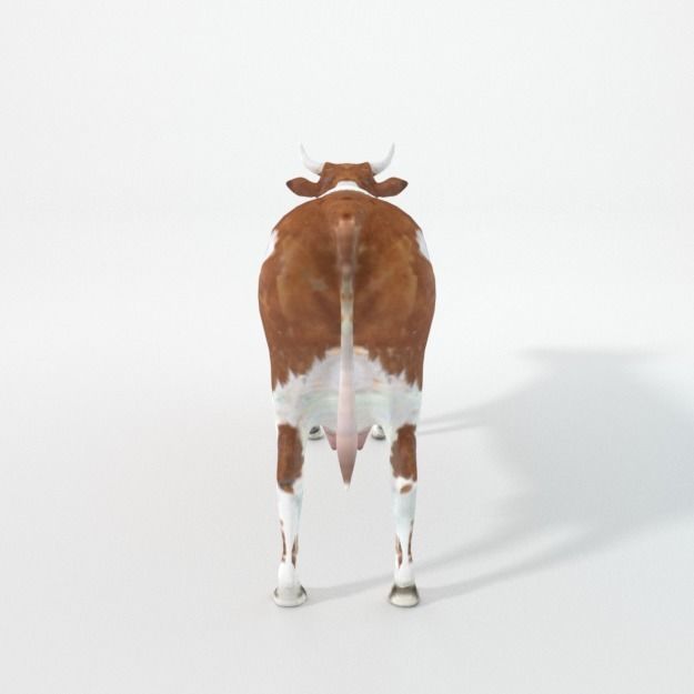 25 Farm - Domestic Animal Models Pack Low-poly 3D model_26