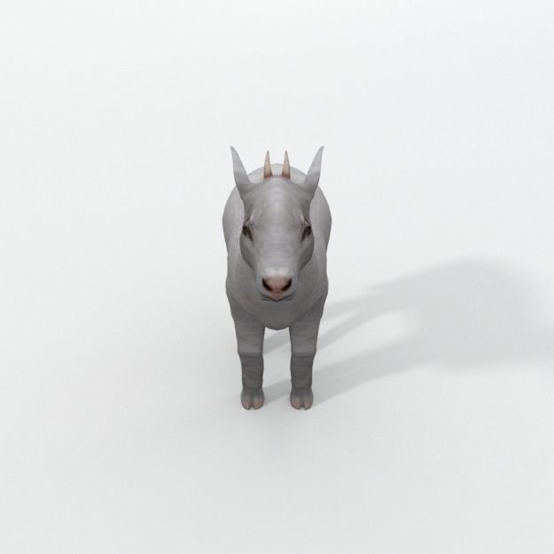 25 Farm - Domestic Animal Models Pack Low-poly 3D model_104