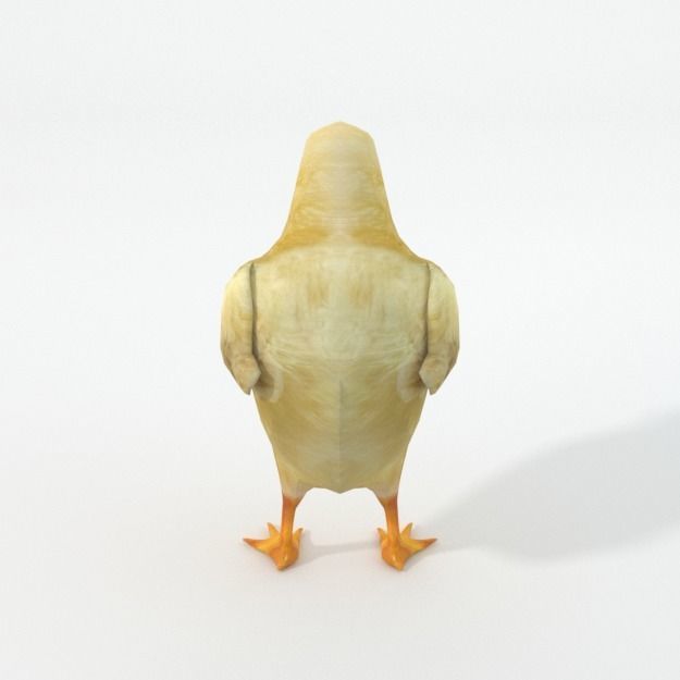 25 Farm - Domestic Animal Models Pack Low-poly 3D model_100