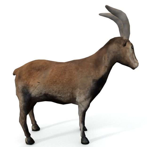 25 Farm - Domestic Animal Models Pack Low-poly 3D model_89