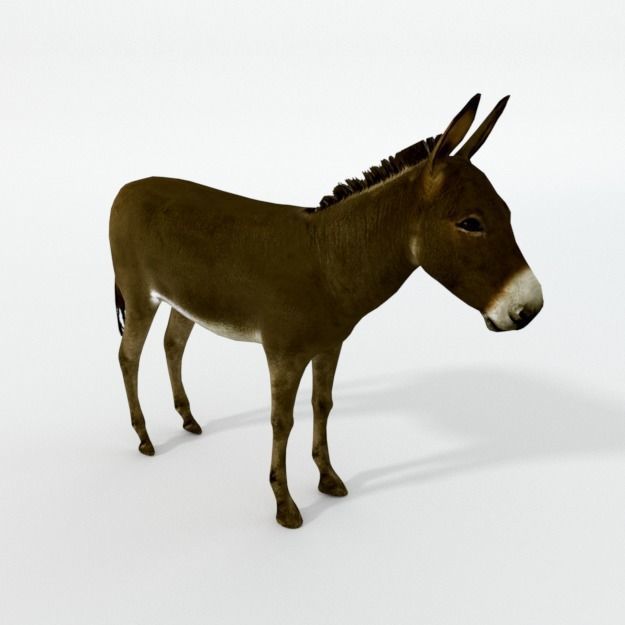 25 Farm - Domestic Animal Models Pack Low-poly 3D model_31