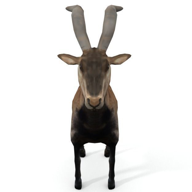 25 Farm - Domestic Animal Models Pack Low-poly 3D model_87