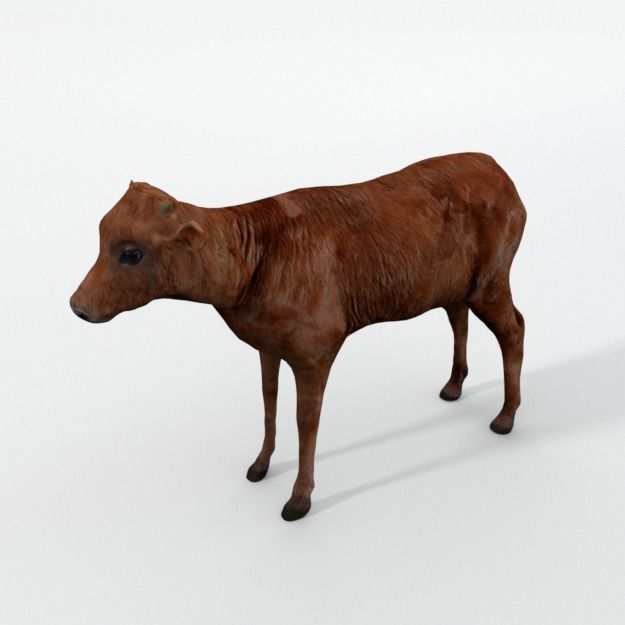 25 Farm - Domestic Animal Models Pack Low-poly 3D model_43