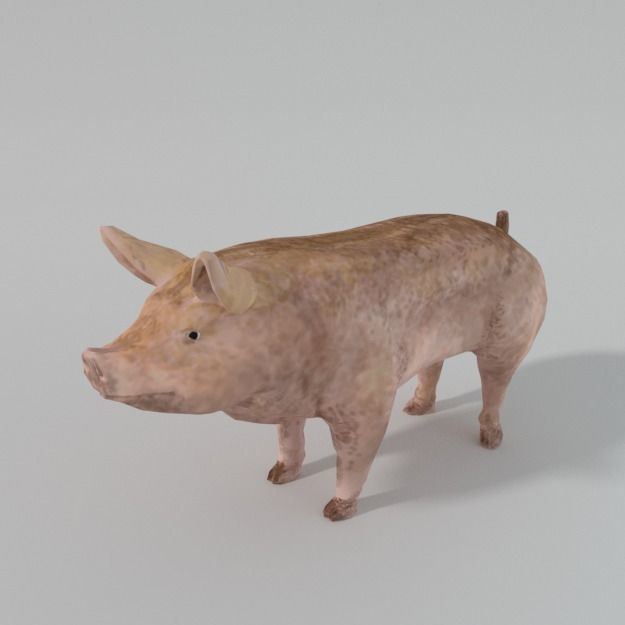 25 Farm - Domestic Animal Models Pack Low-poly 3D model_138