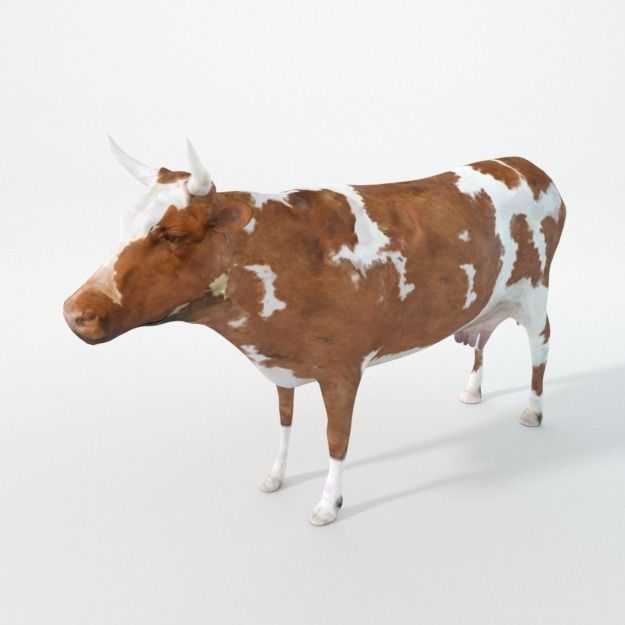 25 Farm - Domestic Animal Models Pack Low-poly 3D model_25