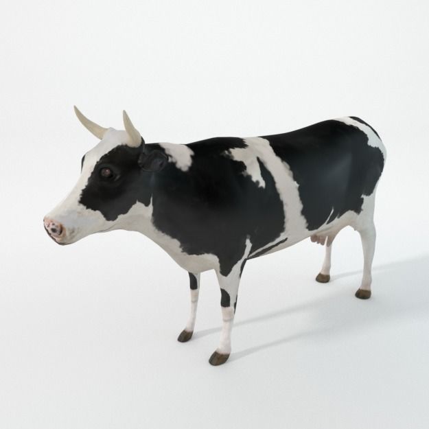 25 Farm - Domestic Animal Models Pack Low-poly 3D model_55