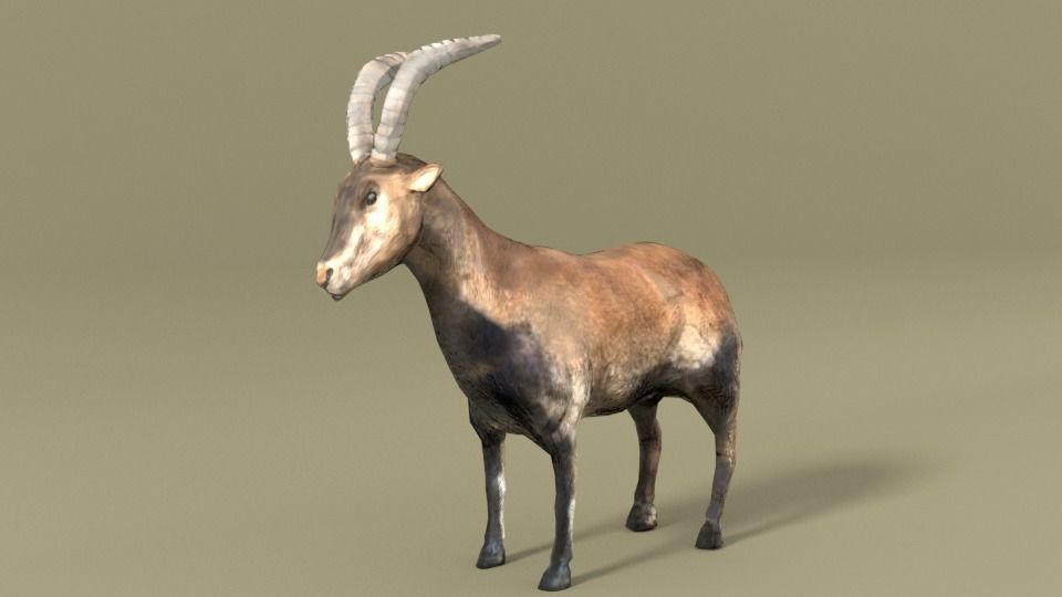 25 Farm - Domestic Animal Models Pack Low-poly 3D model_84