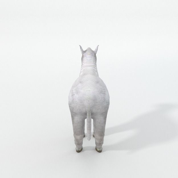 25 Farm - Domestic Animal Models Pack Low-poly 3D model_112