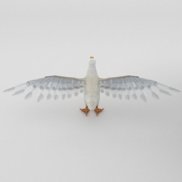 25 Farm - Domestic Animal Models Pack Low-poly 3D model_74