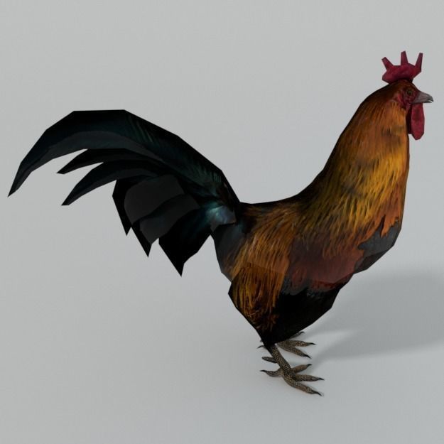 25 Farm - Domestic Animal Models Pack Low-poly 3D model_129