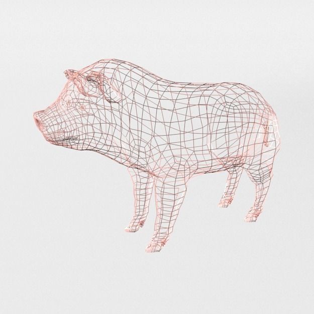 25 Farm - Domestic Animal Models Pack Low-poly 3D model_119