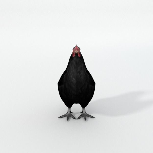 25 Farm - Domestic Animal Models Pack Low-poly 3D model_9