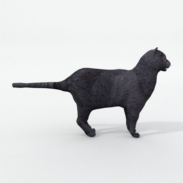 25 Farm - Domestic Animal Models Pack Low-poly 3D model_51