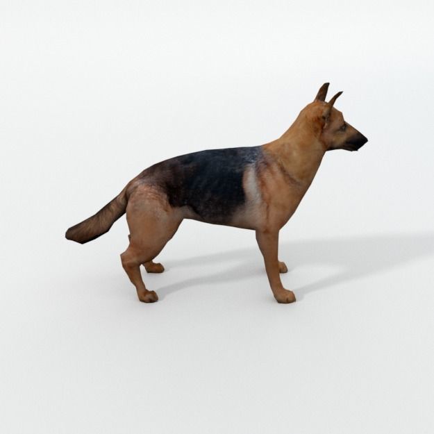 25 Farm - Domestic Animal Models Pack Low-poly 3D model_80