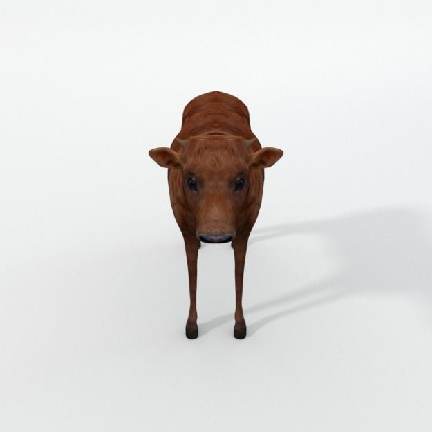 25 Farm - Domestic Animal Models Pack Low-poly 3D model_44