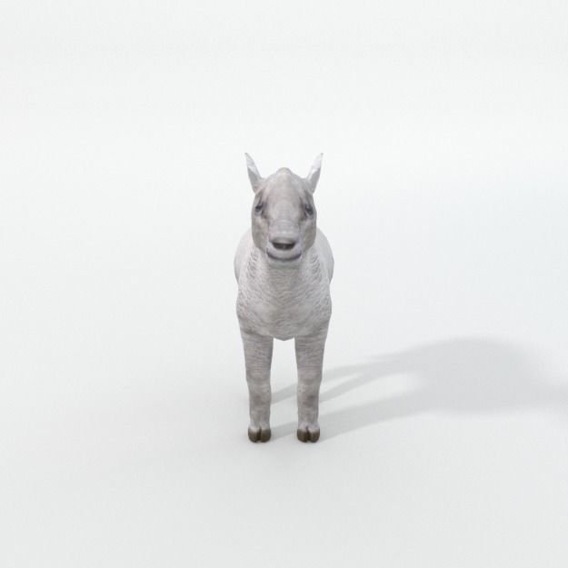 25 Farm - Domestic Animal Models Pack Low-poly 3D model_110