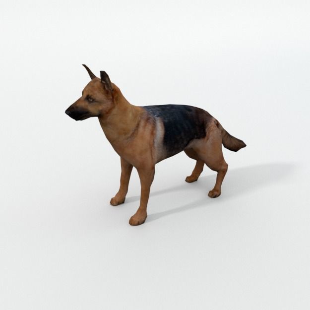25 Farm - Domestic Animal Models Pack Low-poly 3D model_78