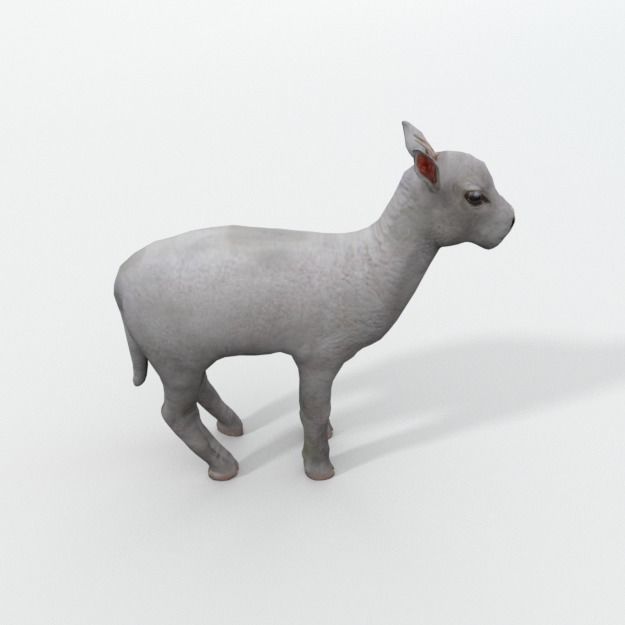 25 Farm - Domestic Animal Models Pack Low-poly 3D model_105