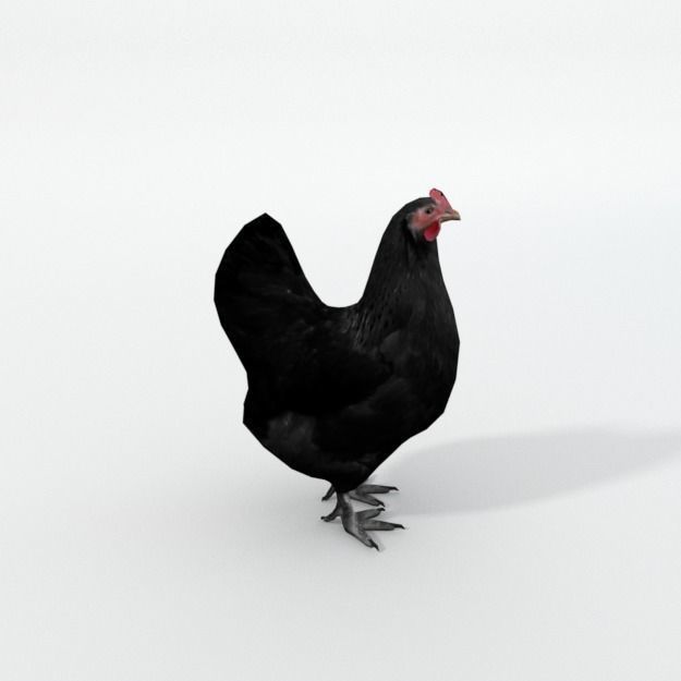 25 Farm - Domestic Animal Models Pack Low-poly 3D model_10