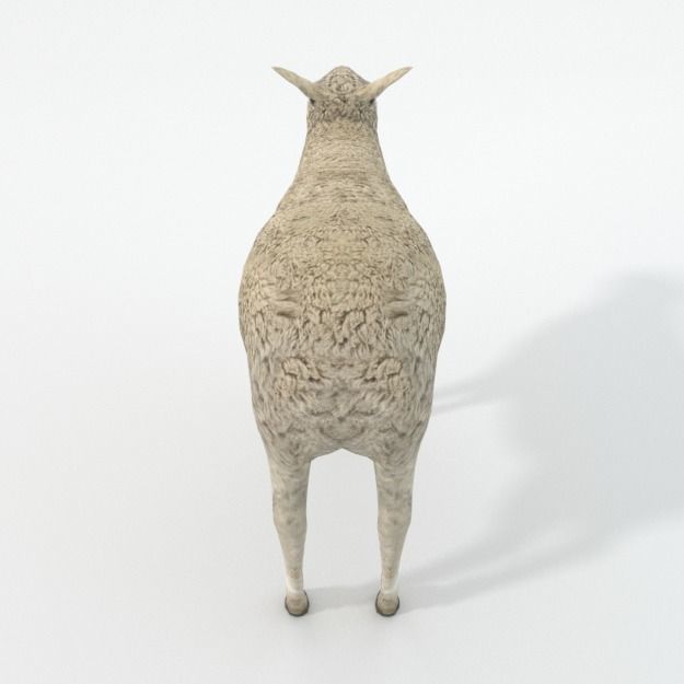 25 Farm - Domestic Animal Models Pack Low-poly 3D model_135