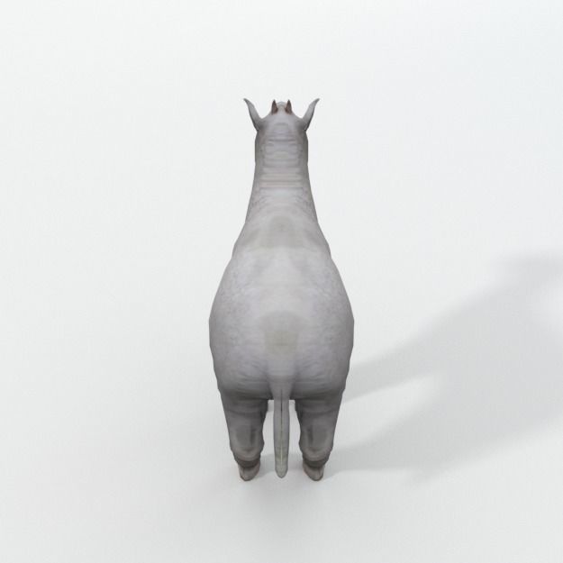 25 Farm - Domestic Animal Models Pack Low-poly 3D model_106