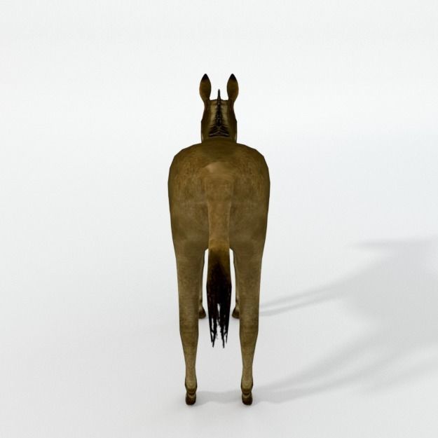 25 Farm - Domestic Animal Models Pack Low-poly 3D model_32