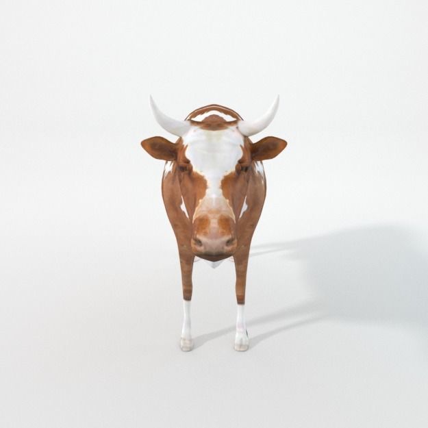 25 Farm - Domestic Animal Models Pack Low-poly 3D model_28